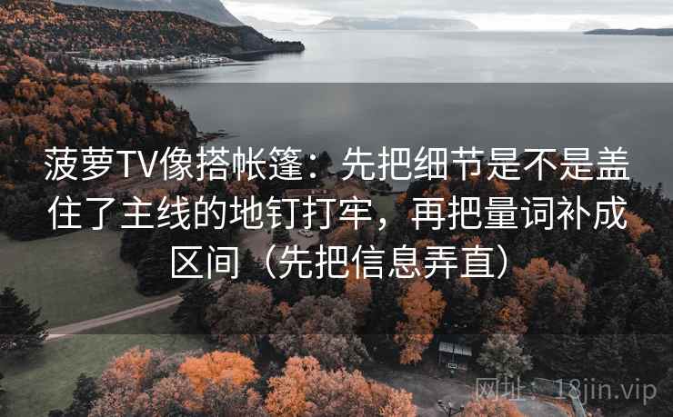 菠萝TV像搭帐篷：先把细节是不是盖住了主线的地钉打牢，再把量词补成区间（先把信息弄直）